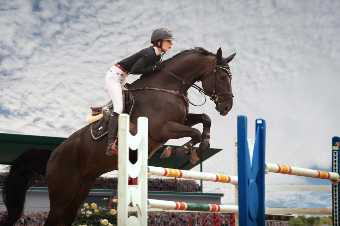 Equestrian Paralympics 2024 2024