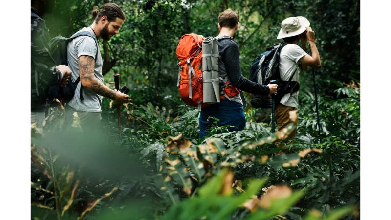 Kerala Wildlife Tours for Nature Lovers: A Complete Guide