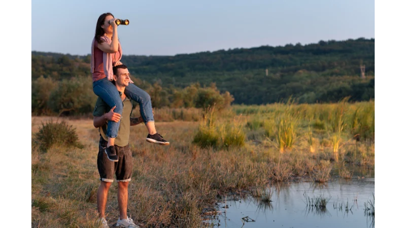 Discover the Wild Side of Gir National Park: A Must for Nature Lovers